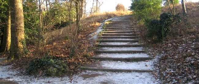 Courir à Paris : de Bastille au lac Daumesnil du Bois de Vincennes