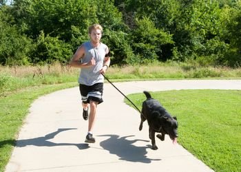 Le canicross, ou courir avec son chien