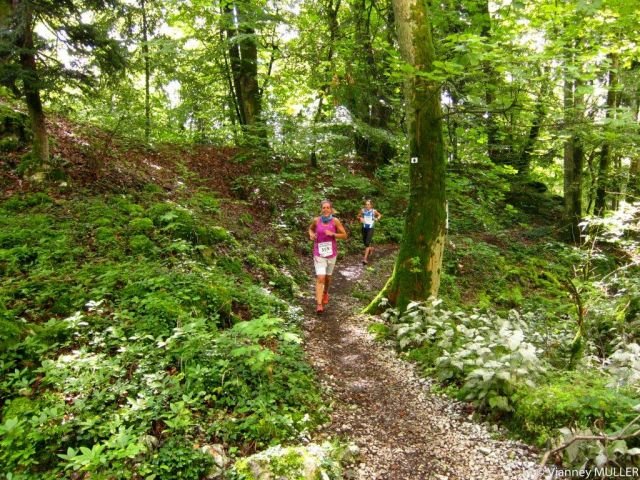 Courses du Jura Alsacien à Ferrette Courses du Jura Alsacien à Ferrette