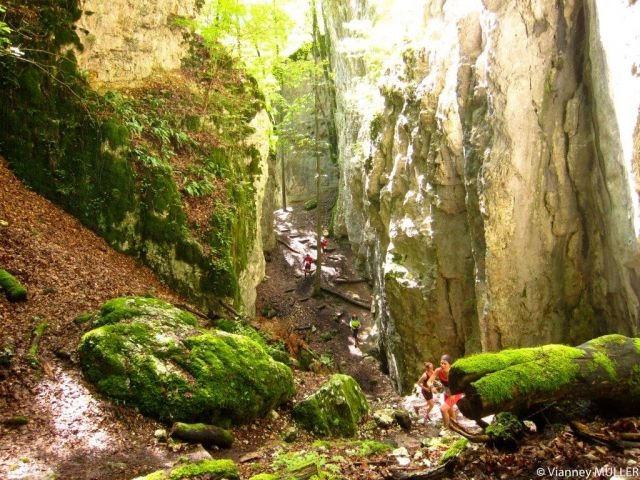 Courses du Jura Alsacien à Ferrette Courses du Jura Alsacien à Ferrette