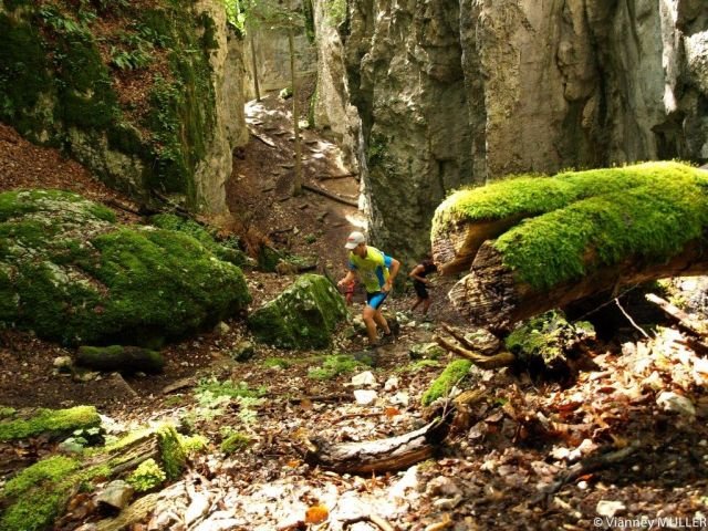 Courses du Jura Alsacien à Ferrette Courses du Jura Alsacien à Ferrette