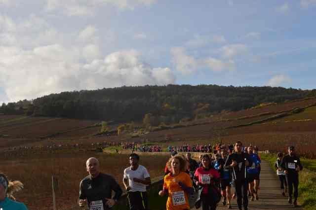Semi-marathon de la vente des vins de Beaune Semi-marathon de la vente des vins de Beaune
