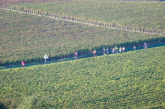 Reims Champagne Run Reims Champagne Run
