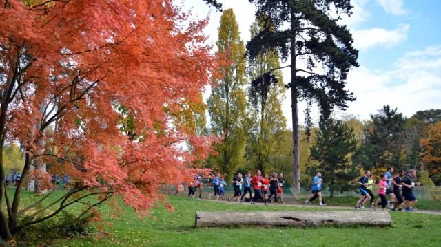 Semi-marathon du Bois de Vincennes Semi-marathon du Bois de Vincennes