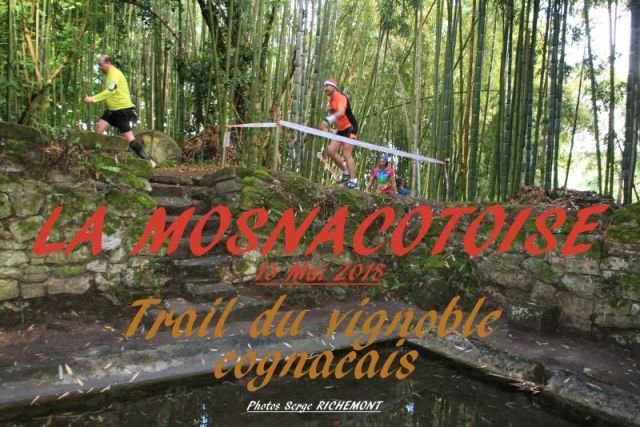 Mosnacotoise, Trail du vignoble cognaçais