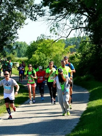 Semi-marathon de Nîmes, 10 km et 5 km