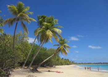 Courir en Martinique sur le Morne Larcher : exigeant mais magnifique !