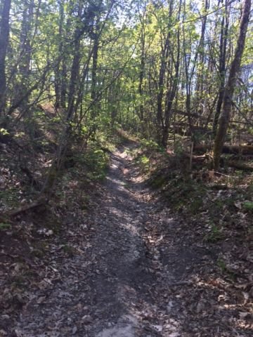 Trail du Montmorelien