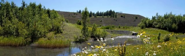 Polonia Run - Course du centenaire de l'arrivée des ouvriers polonais en France Polonia Run - Course du centenaire de l'arrivée des ouvriers polonais en France