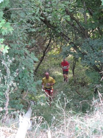 Trail de l'Avezanaise Trail de l'Avezanaise